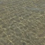 Sea Horse شقة